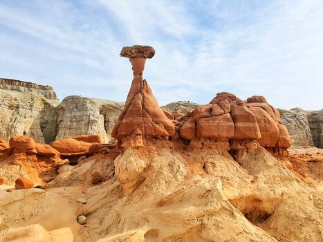 Toadstool.jpg