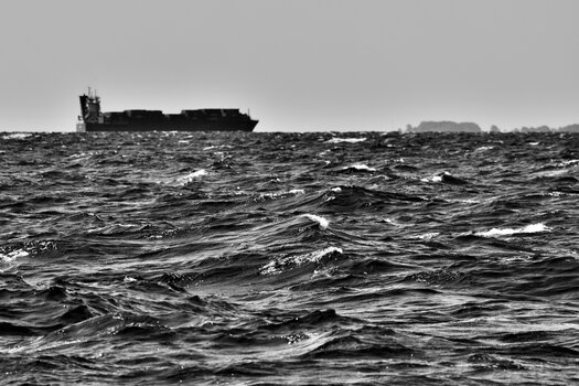 20220905_124250bw_nf.JPG