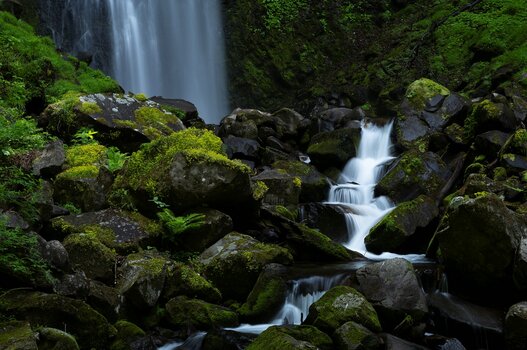 k_a047z_yukie_hayashi_nature_2_20220727.jpg