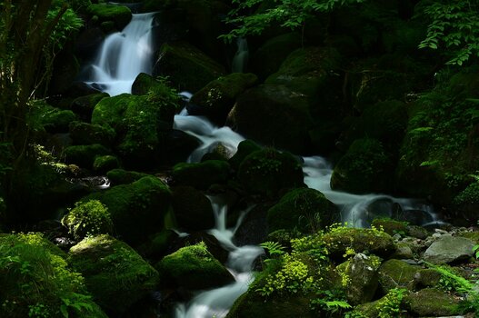 k_a047z_yukie_hayashi_nature_3_20220819.jpg