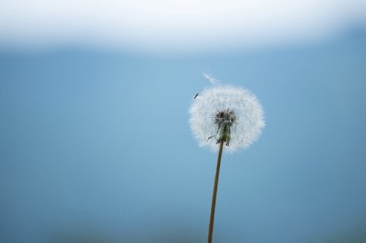 k_a047z_yukie_hayashi_nature_4_20220727.jpg