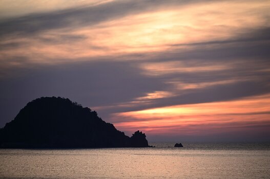 k_a047z_yukie_hayashi_nature_5_20220819.jpg