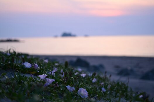 k_a047z_yukie_hayashi_nature_8_20220819.jpg