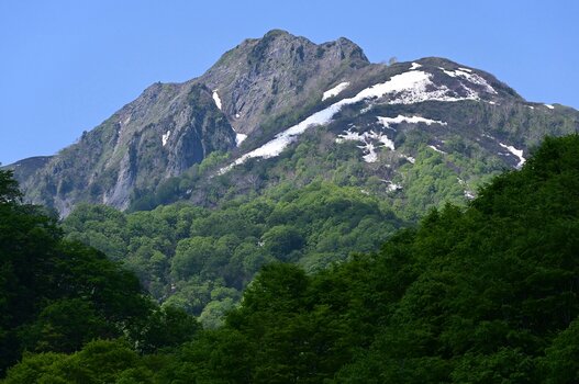 k_a047z_yukie_hayashi_nature_9_20220819.jpg