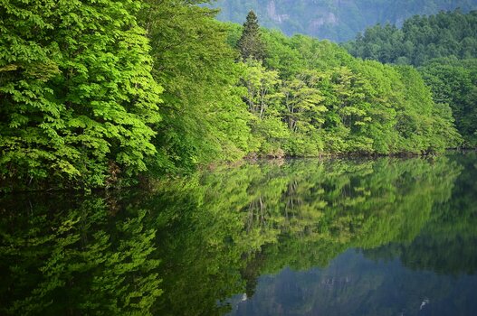k_a047z_yukie_hayashi_nature_10_20220819.jpg