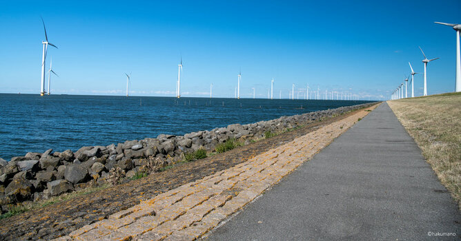 HKM_7885 Radweg am IJsselmeer.jpg