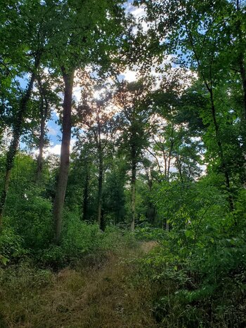 20220909_165128.jpg