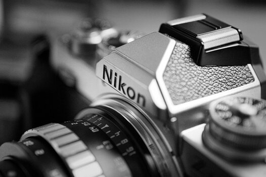 DSC_2613.jpg