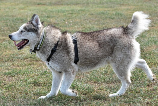 DFX_5908.jpg