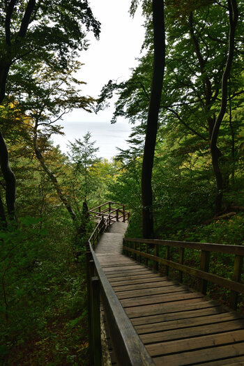 20220914_165450_nf.JPG