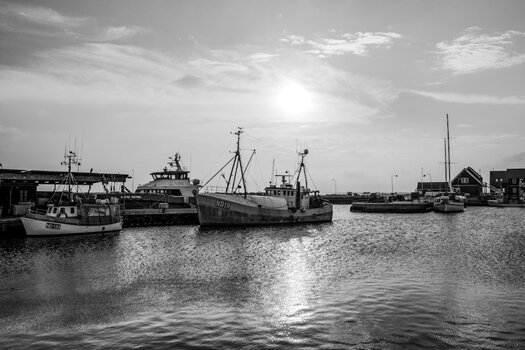 20220909_181508bw_nf.jpg