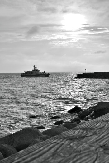 20220909_183717bw_nf.JPG