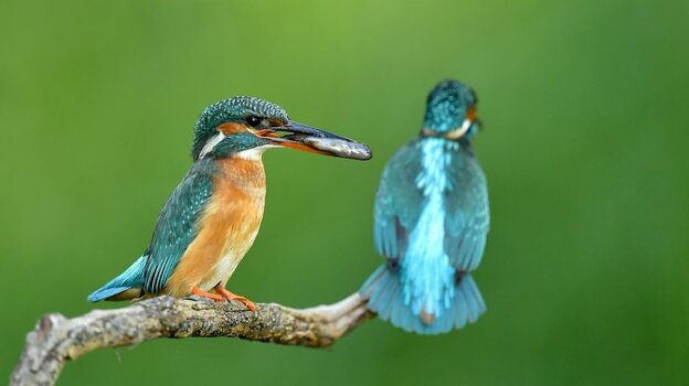 DSC_6808_2.jpg