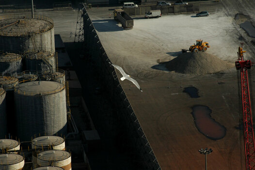 DSC_6520-1.JPG