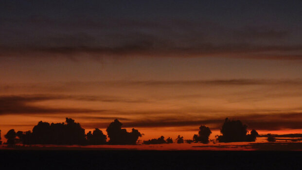 P1010209-1.JPG