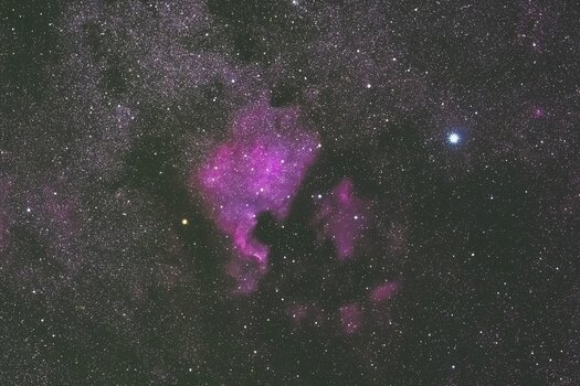 Beispielbilder von Hiroyuki Narisawa mit dem TAMRON 150-500mm F/5-6.7 Di III VC VXD für X-Mount Beispielbilder von Hiroyuki Narisawa mit dem TAMRON 150-500mm F/5-6.7 Di III VC VXD für X-Mount
