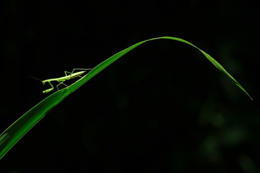 Beispielbilder von Yuki Imaura mit dem TAMRON 150-500mm F/5-6.7 Di III VC VXD für X-Mount Beispielbilder von Yuki Imaura mit dem TAMRON 150-500mm F/5-6.7 Di III VC VXD für X-Mount
