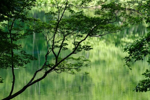 Beispielbilder von Yuki Imaura mit dem TAMRON 150-500mm F/5-6.7 Di III VC VXD für X-Mount Beispielbilder von Yuki Imaura mit dem TAMRON 150-500mm F/5-6.7 Di III VC VXD für X-Mount