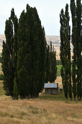 DSC_4043_0001.jpg