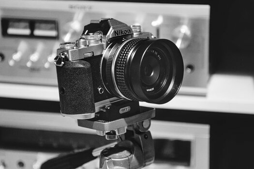 DSC_7791 (1).jpg