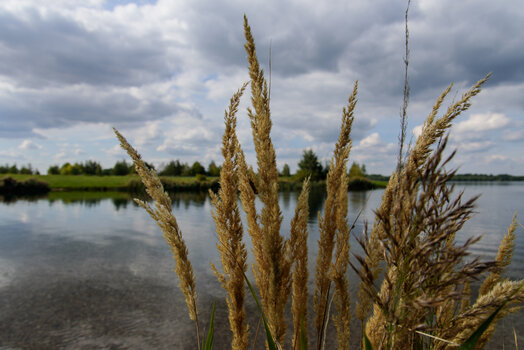 750_9722.jpg