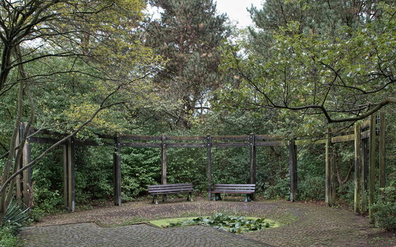 TSF 2022 -102.jpg