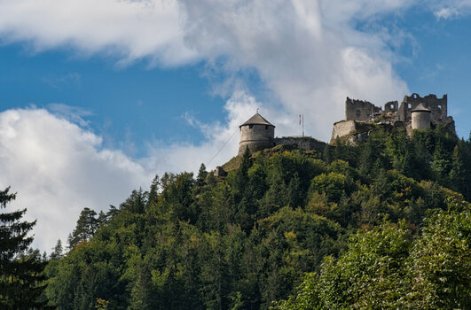 DSC_7704 (1).jpg