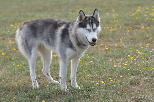 Melle 08_2022-048.jpg