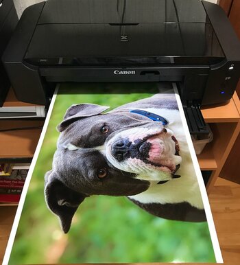 IMG_6565.jpeg