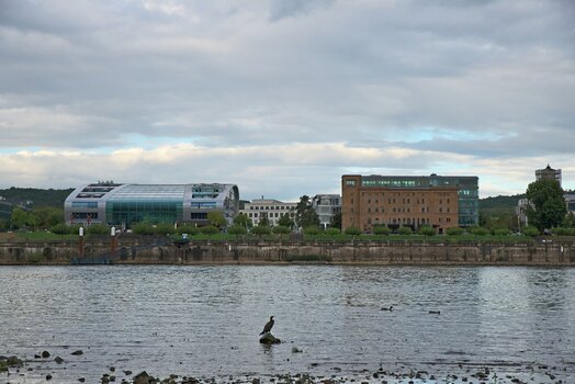TSF 2022 -103_HDR.jpg