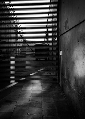 DSCF5598.jpg