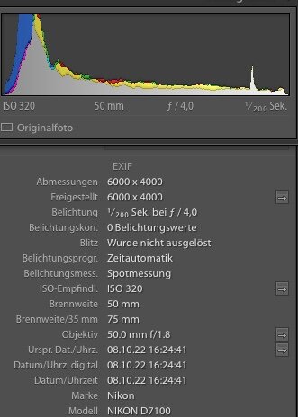 Exif 300.jpeg