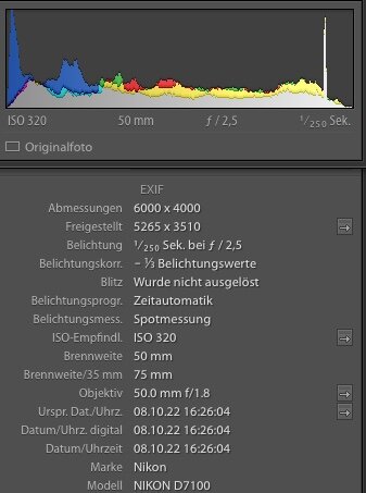 Exif 312.jpeg