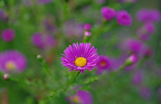 compIMGP7062-1.jpg