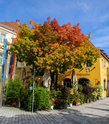 750_9879.jpg