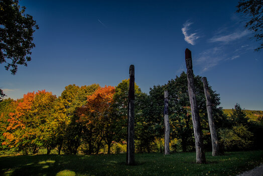 750_0209-Bearbeitet.jpg