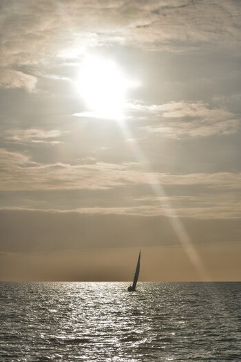 20221012_165330_nf.JPG