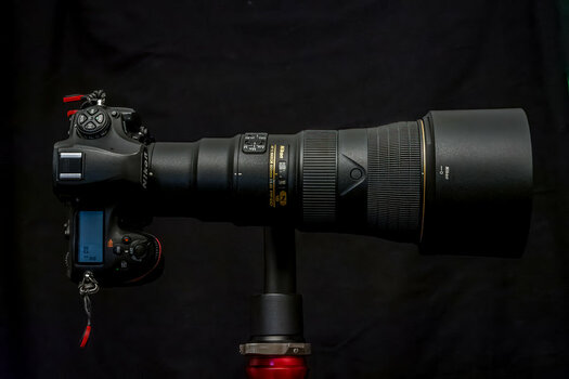 D72_2185-dng_DxO_DeepPRIME-Bearbeitet.jpg