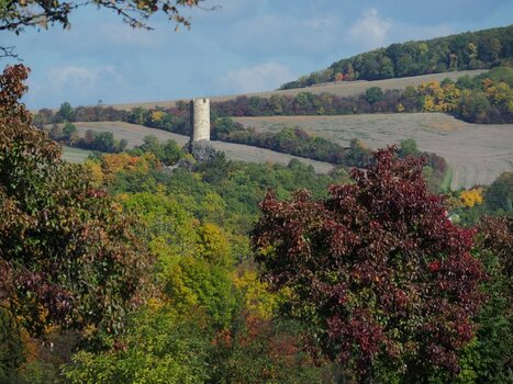 PA092622n.JPG