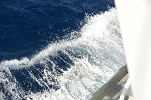 DSC_1799.JPG