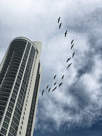 A15EF169-A2E6-4A37-9880-2AAA662E76ED.jpeg