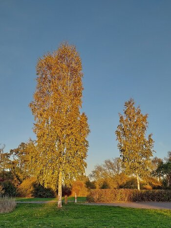 20221009_182752_HDR.jpg