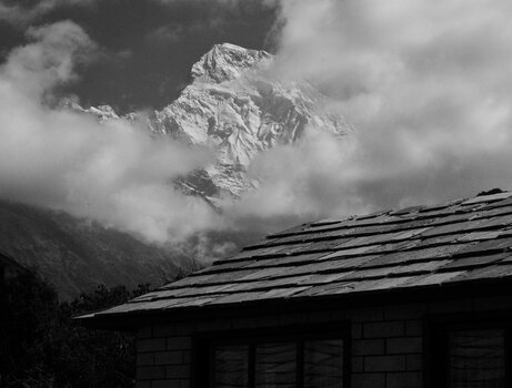 DSC_5979_0001.jpg DSC_5979_0001.jpg