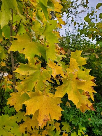 20221013_163848.jpg