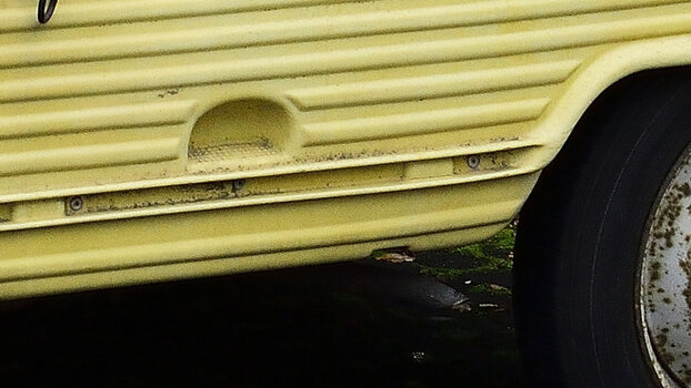 _DSC0009_00001.jpg