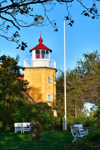 20221016_170900_nf.JPG