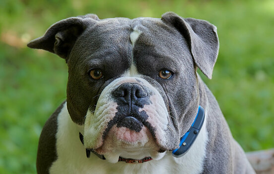 Frieda_14-05-20 2.jpg