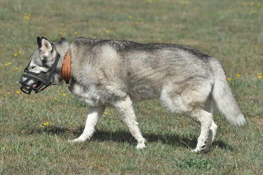 Melle 08_2022-135.jpg