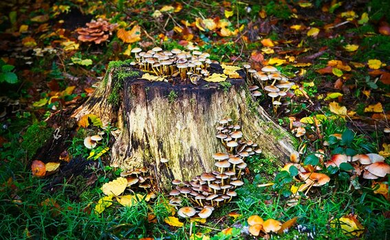 VG_850_0115_on1-landscape-1.jpg