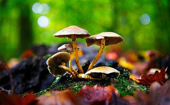 VG_850_0070_on1-landscape-1.jpg